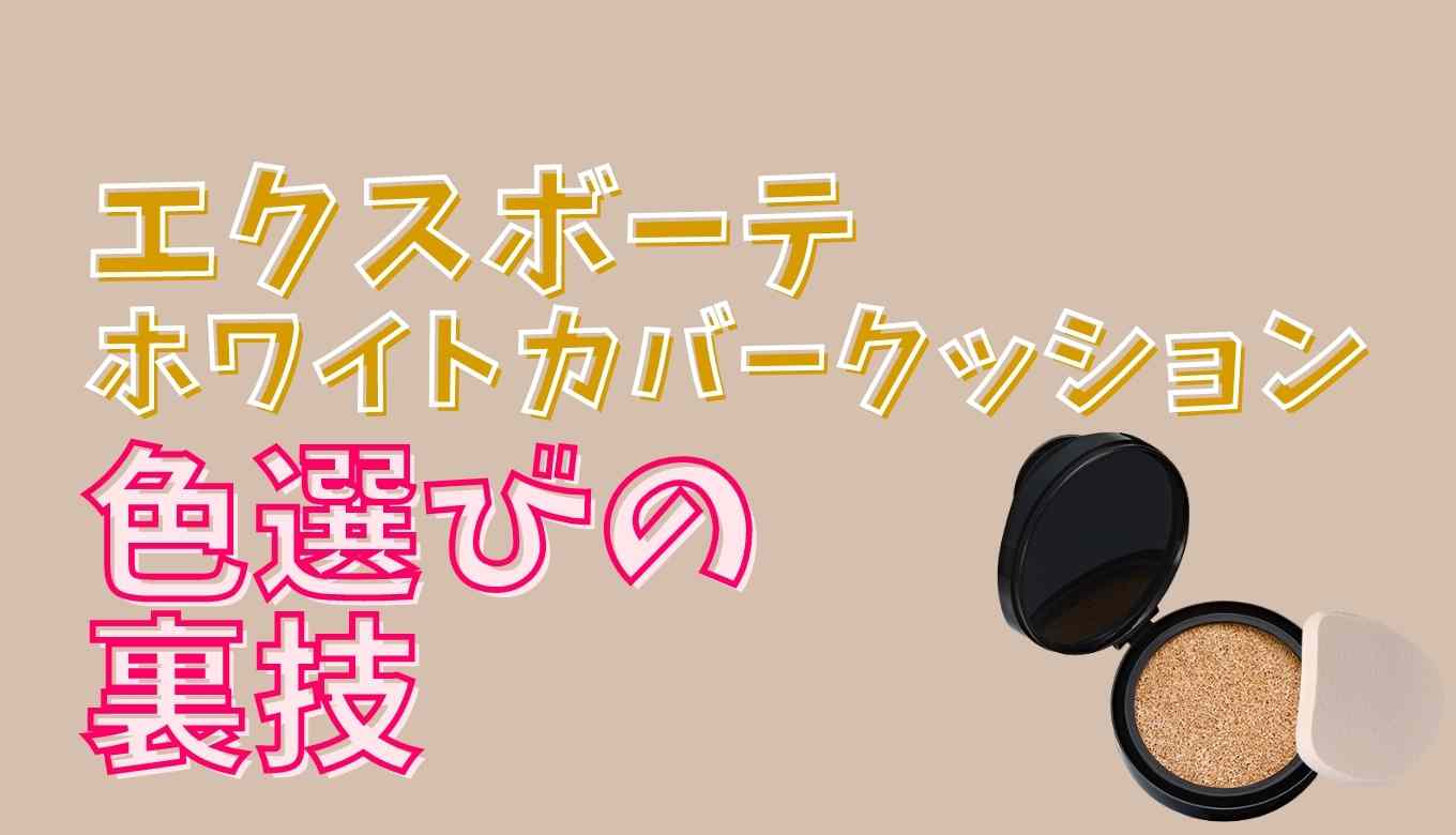 エクスボーテビジョンファンデーションの色選びのコツは？合わない時の裏技を聞いてみた！ | るーののブログ