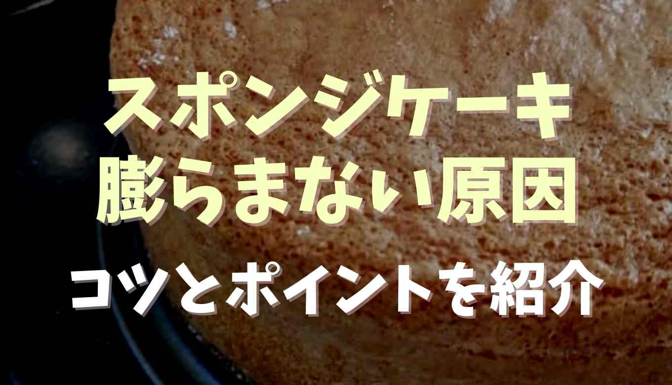 スポンジケーキが固くなる原因と対処法 全く膨らまないの理由とふわふわに焼く方法 るーののブログ