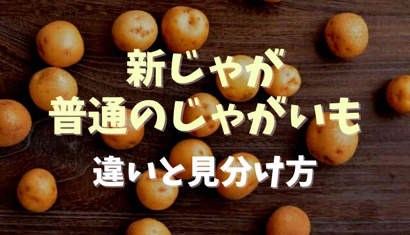 新じゃがと普通のじゃがいもの違いは 見分け方やおすすめレシピも紹介 るーののブログ