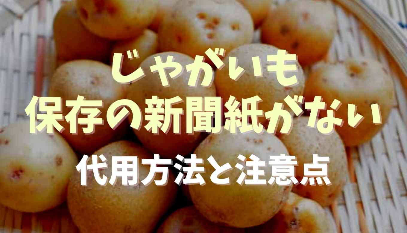 じゃがいもの保存に新聞紙がない場合はどうする 注意点も紹介 るーののブログ